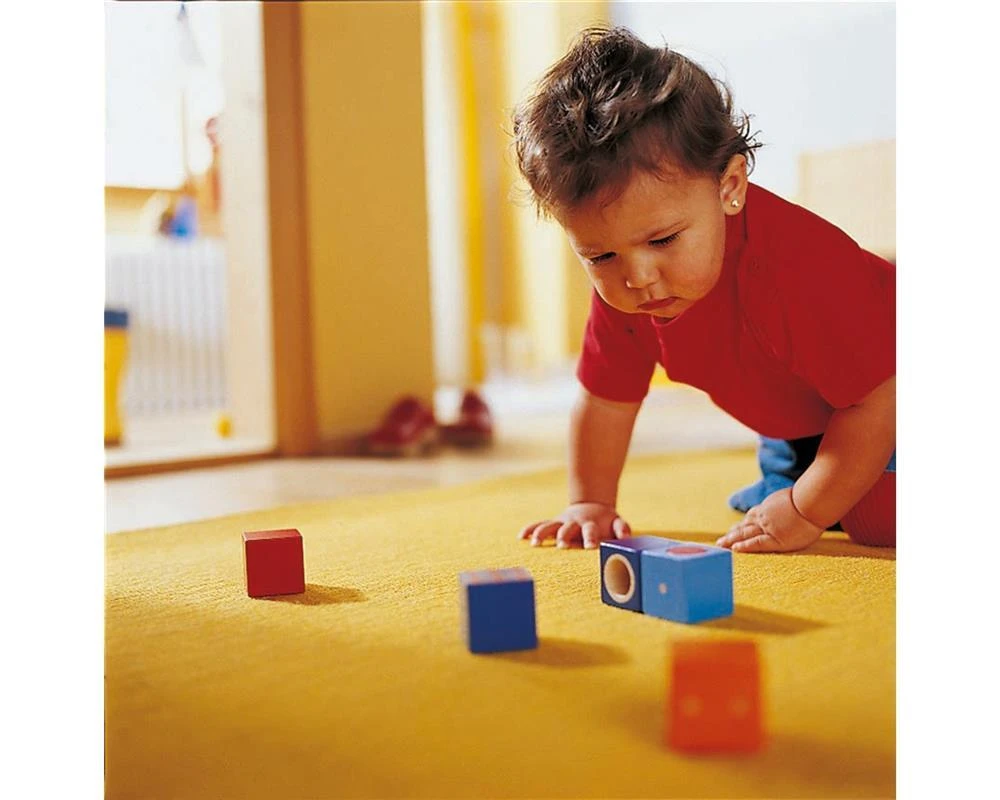 HABA 001192 Erkundungssteine – Bild 2